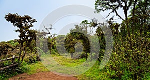 View of the Galapagos