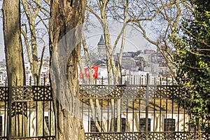 View of the Galata Tower and Karakoy of the Gulhane Park in Istanbul photo