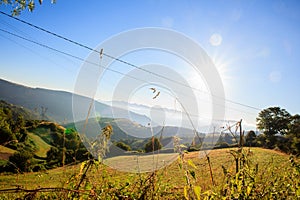 View of Galicia landscape
