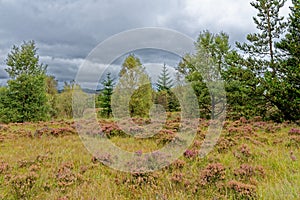 View of Galloway Forest Park - Dumfries and Galloway - Scotland