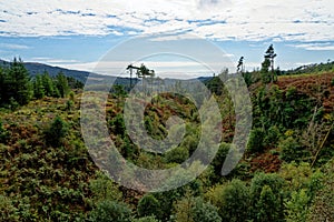 View of Galloway Forest Park - Dumfries and Galloway - Scotland