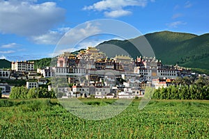 View of the Ganden Sumtseling Tibetian Temple in Zhongdian, China photo