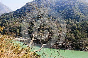 View of Ganga and Rishikesh, holy Indian place