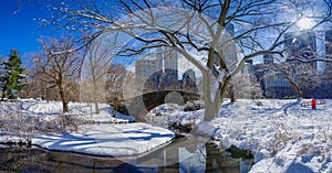 View of Gapstow bridge during winter, Central Park New York City . USA