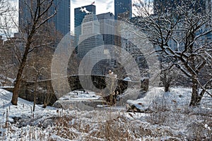 View of Gapstow bridge during winter, Central Park New York City . USA