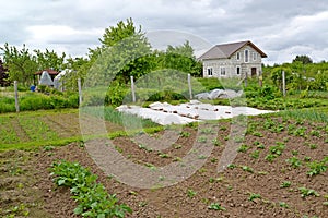 View of the garden and economic buildings. Country Plot