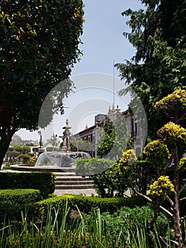 view of a garden with fountain in the main square of the city of Toluca, Mexico
