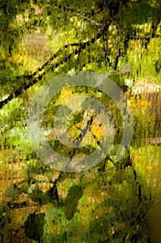 View of the garden through the misted window