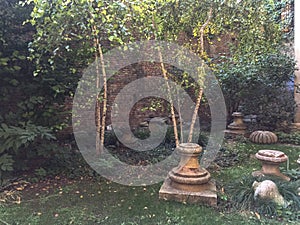 View of the garden of Palazzo Madama in Turin, Italy. photo