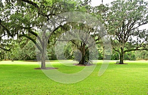 A view of the garden setting of the Bok Tower in lake Wales Florida