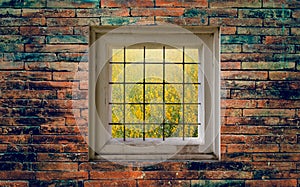 view of garden through window on brick wall