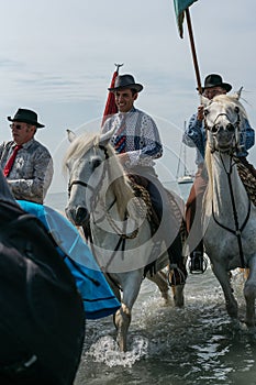Gardians and camargue horses in the sea