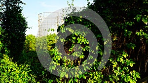 View of the gasometer, a structure designed in the nineteenth century with the aim of storing city gas near the Tiber river in Rom