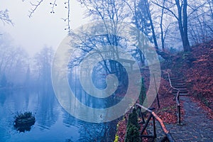 View of a gazebo in a foggy forest. Lake in the forest in the fog