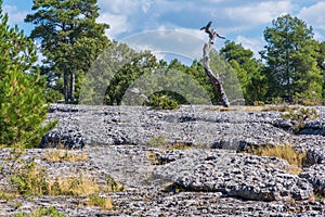 View of a geological rock park panorama