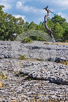 View of a geological rock park panorama