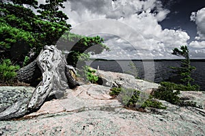 View on Georgian Bay, Lake Huron granite shore with old dry tree