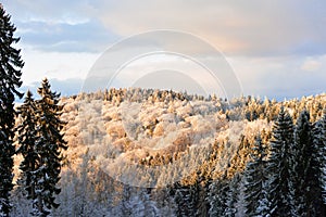 View of German odenwald mountain tips covered in snow on a sunny winter day