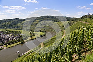 View of German river Moselle near Punderich