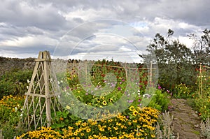 Walled Garden on Island of North East England