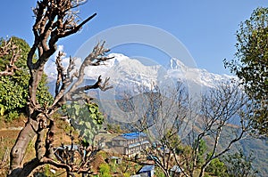 View at Ghandruk village, its buildings and grey roofs with Annapurna massif at the background with Fishtail mountain.