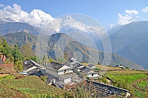 View at Ghandruk village, its buildings and grey roofs with Annapurna massif at the background with Fishtail mountain.
