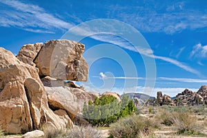 View of giant rock formations on a hiking trail at Joshua Tree National Park.