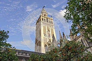 View of Giralda tower of Seville Cathedral of Saint Mary of the See Seville Cathedral  with oranges trees in the foreground