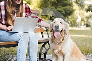 View of girl in casual clothes sitting on wooden bench in park and using laptop while petting golden retriever
