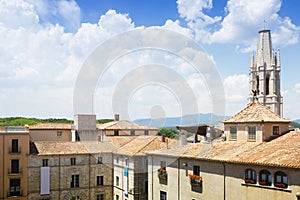 View of Girona with Collegiate Church of Sant Feliu