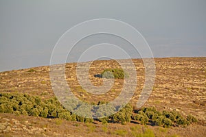 View from Giv`at Hamo`re Nature Reserve. Near Afula, Israel in Western Asia.