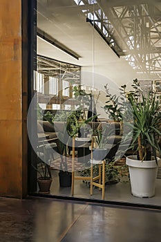 View through glass wall, work office in public floor industrial building, many indoor flowers