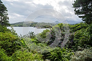 View from Glengarriff guay to Garinish photo