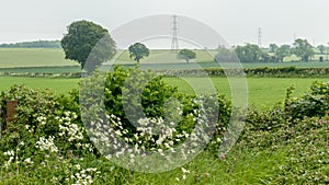 View of Gloucestershire Field