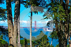 View of the Golden Gate Bridge through trees in Lands End Park
