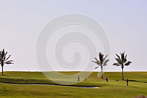 View in golf course with blue sky