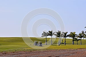 View in golf course with blue sky