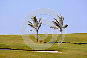 View in golf course with blue sky