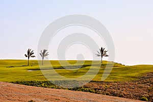 View in golf course with blue sky