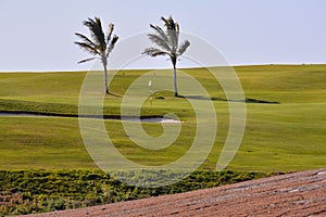 View in golf course with blue sky