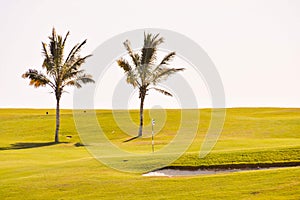 View in golf course with blue sky