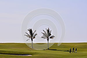 View in golf course with blue sky