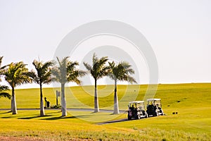 View in golf course with blue sky