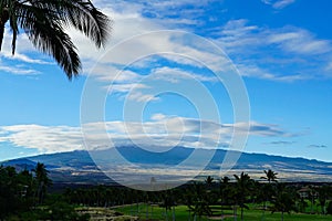 View of a golf course with mountains and palm trees