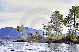 View of Gordon Bay Park in Cowichan Lake, Vancouver Island