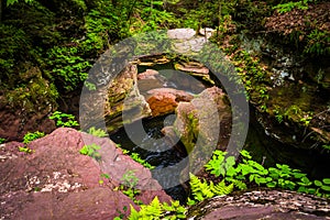 View of a gorge from above Adam's Falls at Ricketts Glen State P