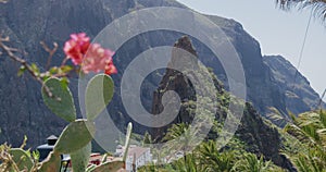 View of the gorge in the village of Maska, Tenerife, Canary Islands, Spain. In the foreground flowers and cacti.