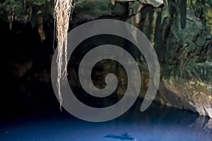 View Of A Gorgeous Cenotes Near Cuzama, Yucatan, Mexico