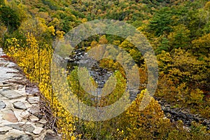 View of Goshen Pass, Fall