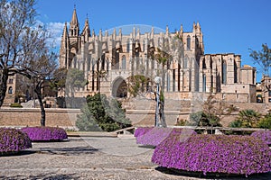 View of gothic style La Seu Cathedral seen from park against blue sky